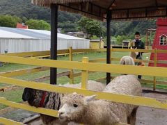 -宁波九龙湖开元度假村