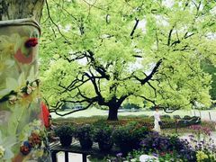 -上海共青森林公园