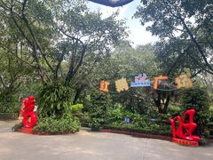 -广州长隆飞鸟乐园