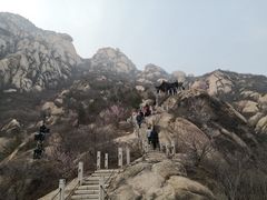 -北京凤凰岭
