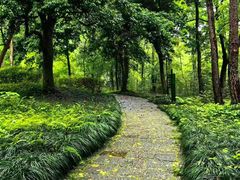 -杭州植物园