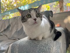 -畜牧兽医站(共江路店)