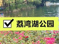 -荔湾湖公园