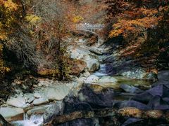 -光雾山旅游景区