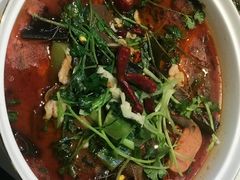 -三猫黑鱼花(南大店)
