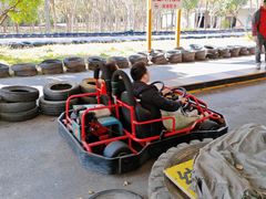 -上海海湾国家森林公园