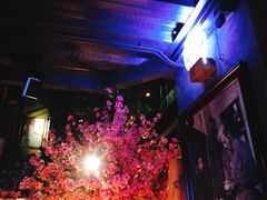 -胡桃里乐队酒馆(鎏嘉码头店)