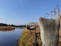 -溱湖国家湿地公园