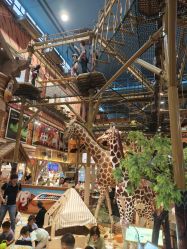 -卡通尼·Safari非洲探索乐园·生日会(金桥国际商业广场店)