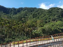 -海南热带雨林国家公园吊罗山景区