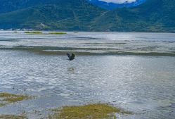 -纳帕海依拉草原