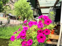-北京水岸山吧度假村(雁栖镇店)