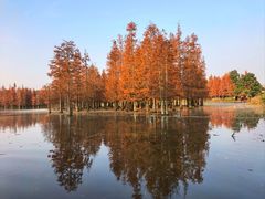 -白鹭湾湿地公园