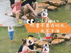 -光明小镇欢乐田园