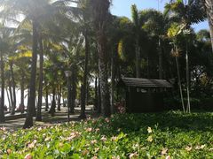 -深圳湾公园(南山区)