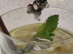 -柴务处·柴犬主题狗咖