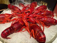 精品冰镇龙虾-红盔甲·小龙虾(天钥桥店)