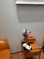 -YESIDO椰岛造型