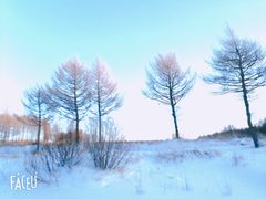 -塞罕坝国家级自然保护区