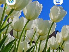 -德全心悦酒店(北京金台路地铁站店)