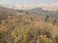 -青岛中山公园-索道售票处
