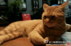 android_upload_pic-汉刺青TATTOO STUDIO