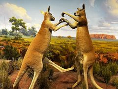 -陕西自然博物馆