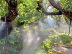 -Chom Cafe and Restaurant