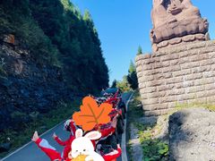 -武陵山森林公园