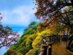 -少华山国家森林公园