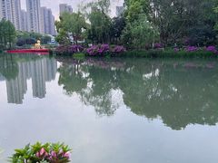 -青枫公园