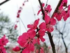 -白塘生态植物园