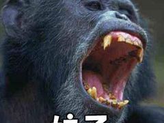 -天赢酒楼(青馨家园店)