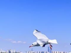 -滇池海埂公园