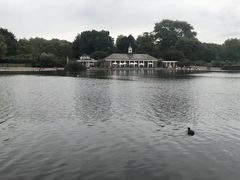 -海德公园