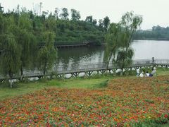 -白鹭湾湿地公园