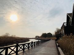 -苏州太湖湖滨国家湿地公园
