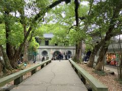 -蒋氏故居