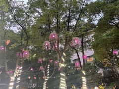 -元一希尔顿酒店·禅自助餐厅·啤酒花园