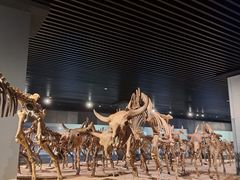 -大庆市博物馆