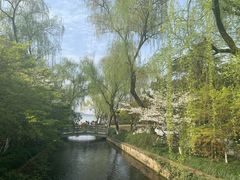 -西湖外事游船(花港观鱼码头)