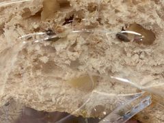 -南丰汇(新港东路店)