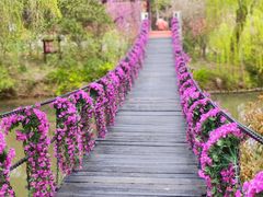 -南汇桃花村
