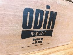 -ODIN 奥丁形象设计 