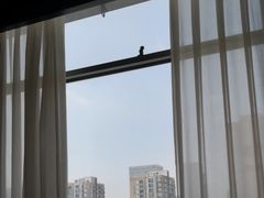 -小厨娘淮扬菜(清江苏宁广场店)