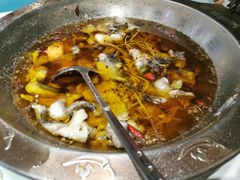 -雲蜀龙阁·金牌水煮鱼(方庄店)