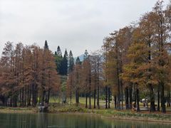 -四海公园(南山区)
