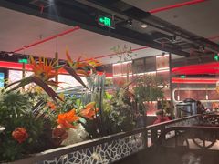 -捞王猪肚鸡火锅(金华义乌之心店)