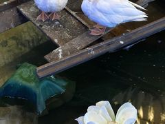 -火福·天湖阁大闸蟹博物馆主题餐厅(浅水湾店)