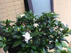 -白鹭湾湿地公园